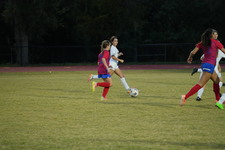 Enlarge photo 127
