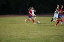 Enlarge photo 129