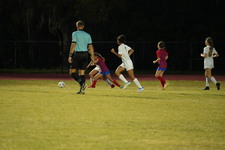 Enlarge photo 372