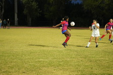 Enlarge photo 440