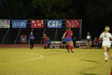 Enlarge photo 477