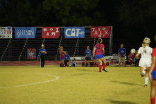 Enlarge photo 478