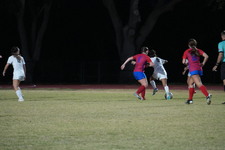 Enlarge photo 623