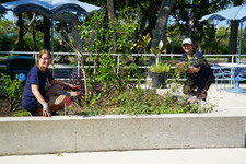 Enlarge photo 40