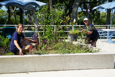 Enlarge photo 41