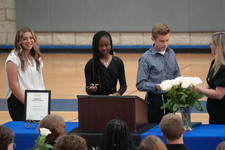 Enlarge photo 248