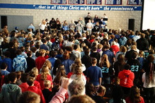 Enlarge photo 65