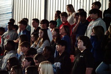 Enlarge photo 61