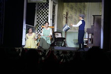 Enlarge photo 335