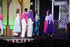 Enlarge photo 261