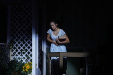 Enlarge photo 525