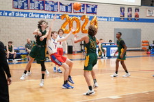 Enlarge photo 79