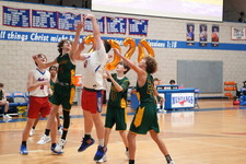 Enlarge photo 120