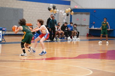 Enlarge photo 135