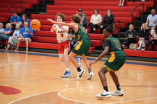 Enlarge photo 251
