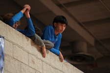 Enlarge photo 289