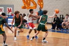 Enlarge photo 299