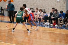Enlarge photo 311