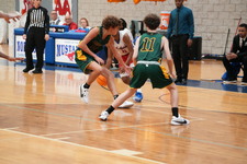 Enlarge photo 315