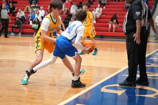 Enlarge photo 70