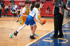 Enlarge photo 71