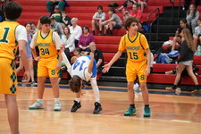 Enlarge photo 105
