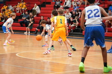 Enlarge photo 175