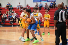 Enlarge photo 203