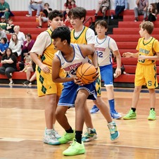 Enlarge photo 205