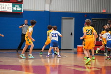 Enlarge photo 235