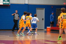 Enlarge photo 239