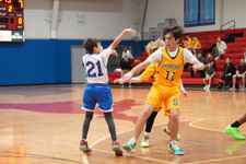 Enlarge photo 275