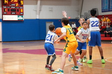 Enlarge photo 305