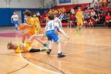 Enlarge photo 329