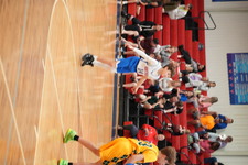 Enlarge photo 339