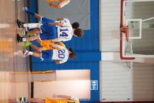 Enlarge photo 341