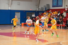 Enlarge photo 362