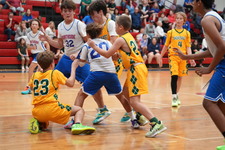Enlarge photo 431