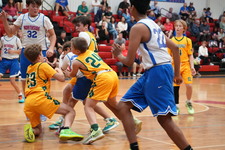 Enlarge photo 435