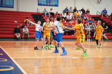 Enlarge photo 455