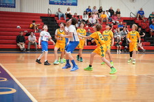 Enlarge photo 457