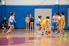Enlarge photo 459