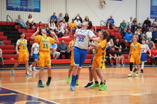 Enlarge photo 480