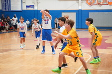 Enlarge photo 490