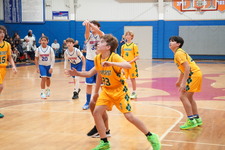 Enlarge photo 491