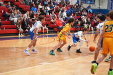 Enlarge photo 494