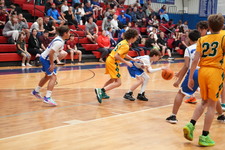 Enlarge photo 493