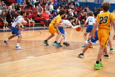 Enlarge photo 495