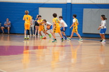 Enlarge photo 514