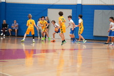 Enlarge photo 516